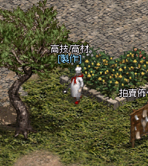 172546otolo03noho85rao.gif
